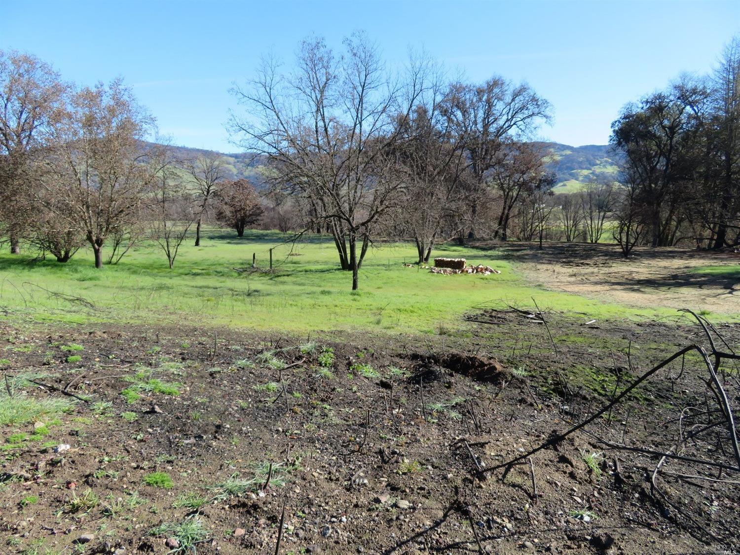 2550 Rd L Redwood Valley, CA 95470 - Photo 1 of 1 a view of a park that has a large tree