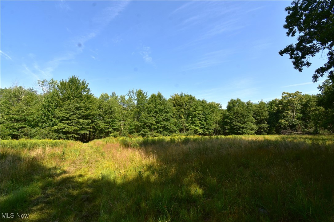 0 Warren - Sharon Road Masury, OH 44438 - Photo 8 of 10