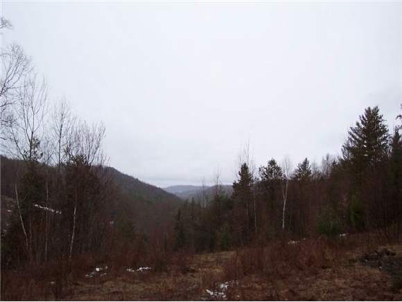 800 Mud Hollow Road Kirby, VT 05851 - Photo 1 of 1 Gallery Image 1