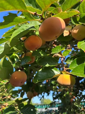 $5,200 | 1126 Highland Oaks Drive, Arcadia, CA 91006