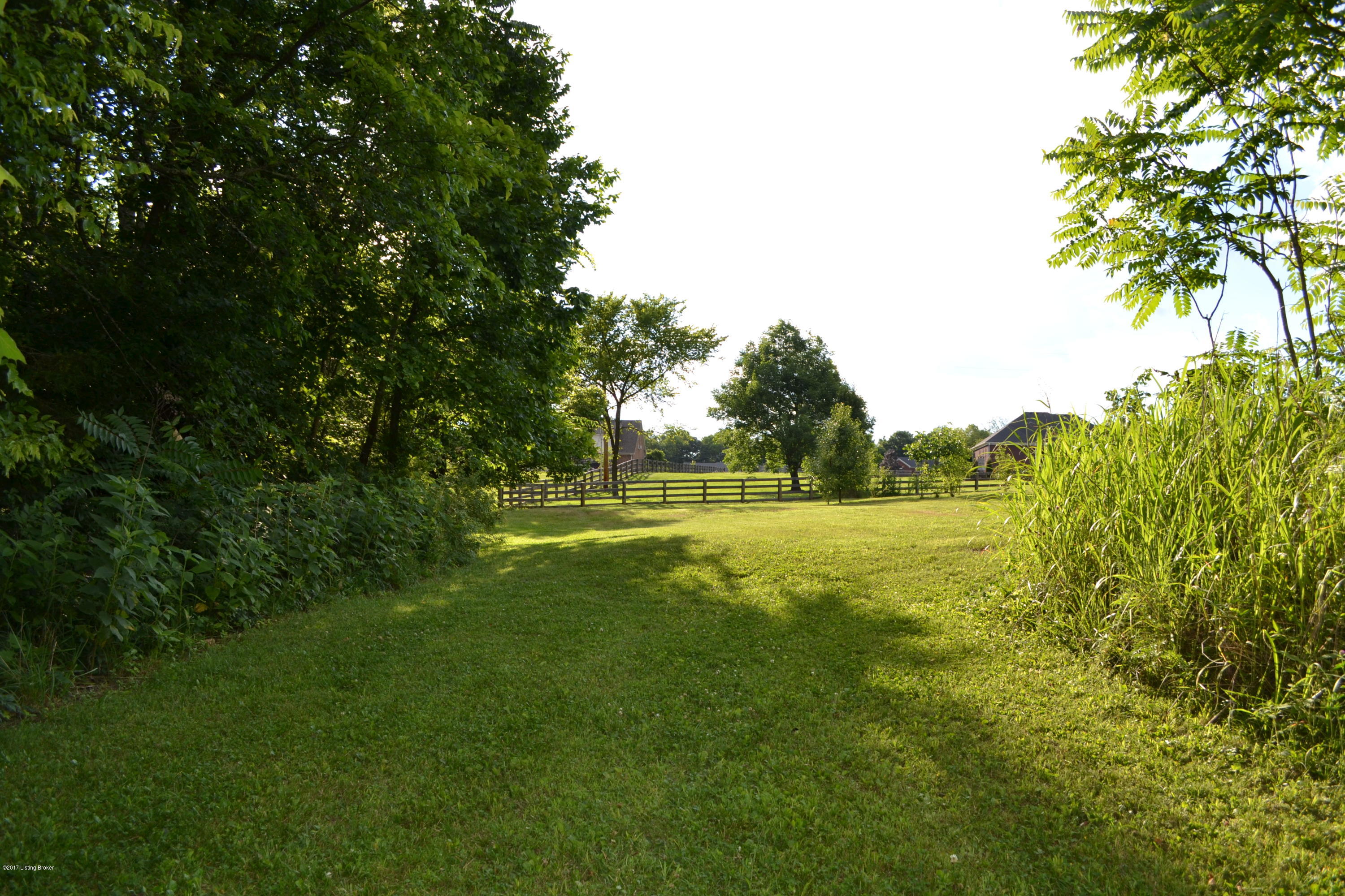 381 Twin Falls Road Mount Washington, KY 40047 - Photo 26 of 122 DSC_0026