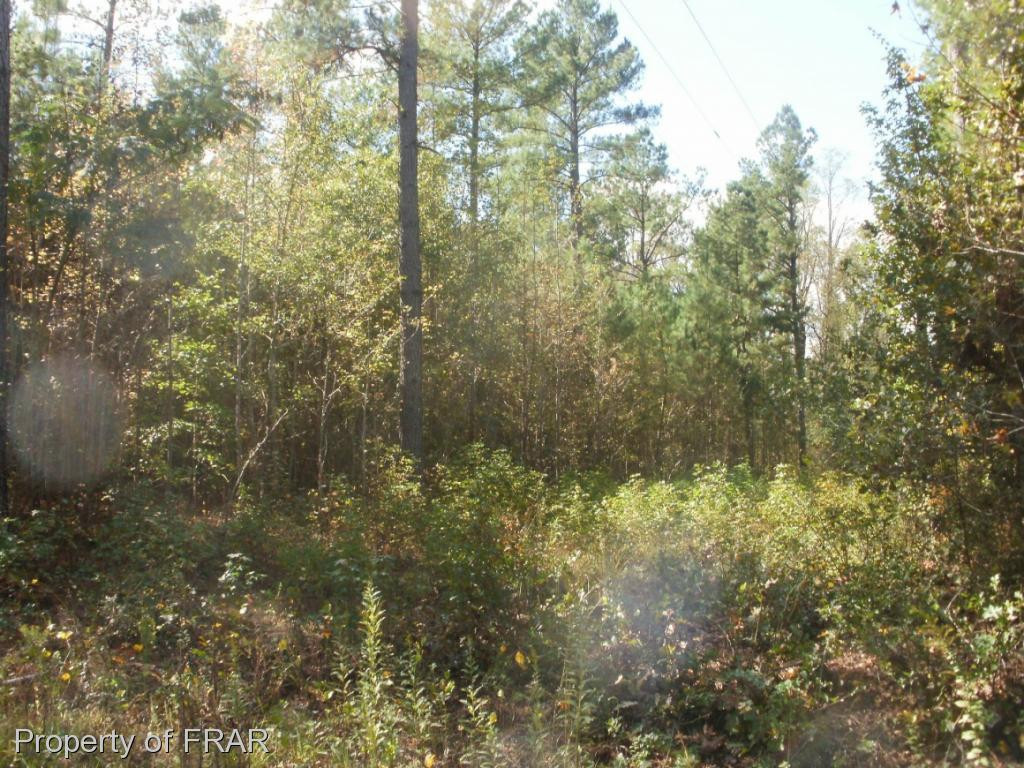 8 McLean Chapel Church Road Bunnlevel, NC 28323 - Photo 2 of 3 Photo 2