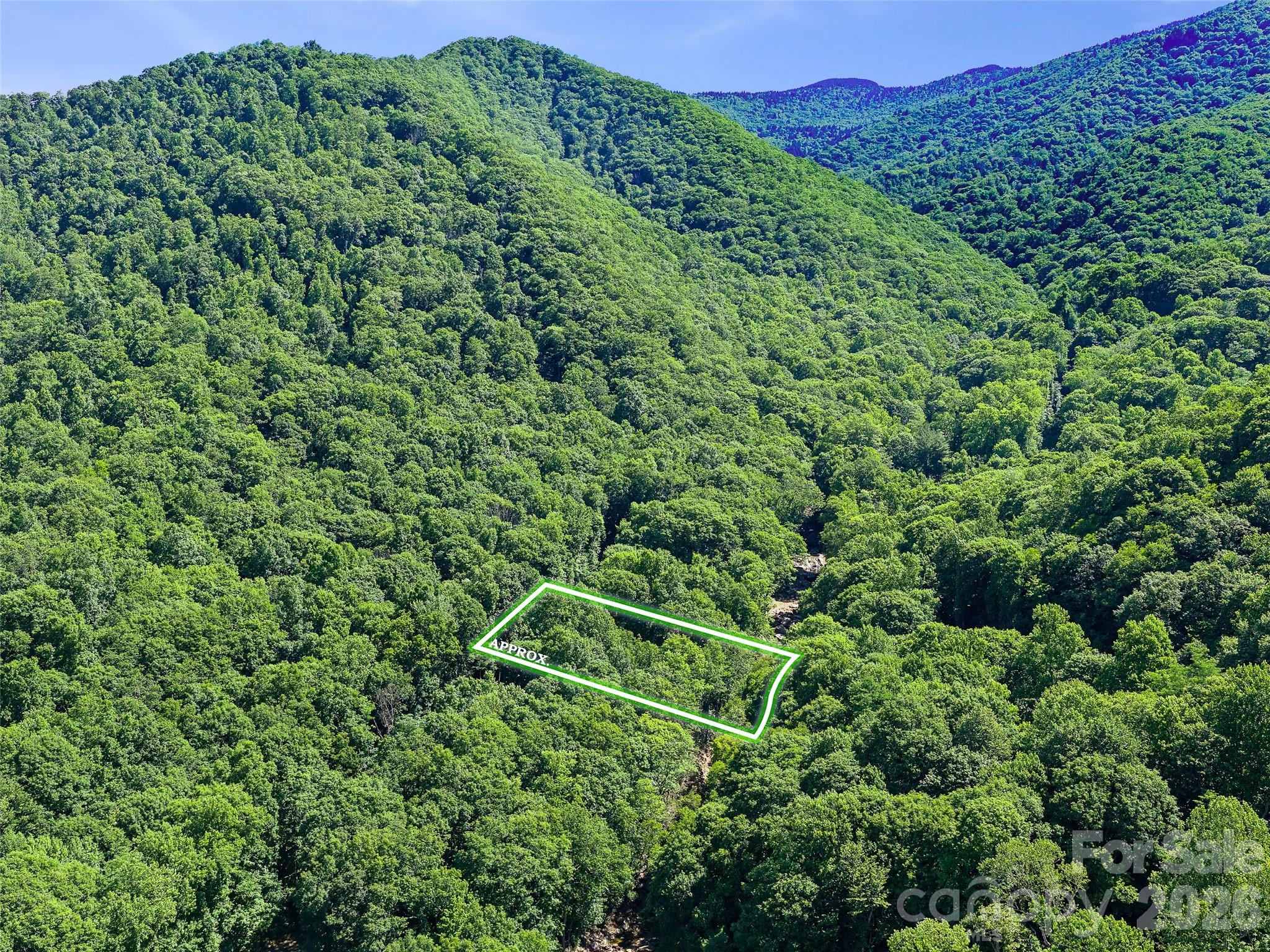552 North Fork Road Burnsville, NC 28714 - Photo 42 of 48