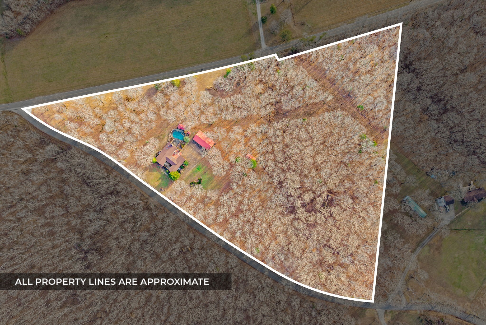 2419 Williams Hollow Road McEwen, TN 37101 - Photo 2 of 85