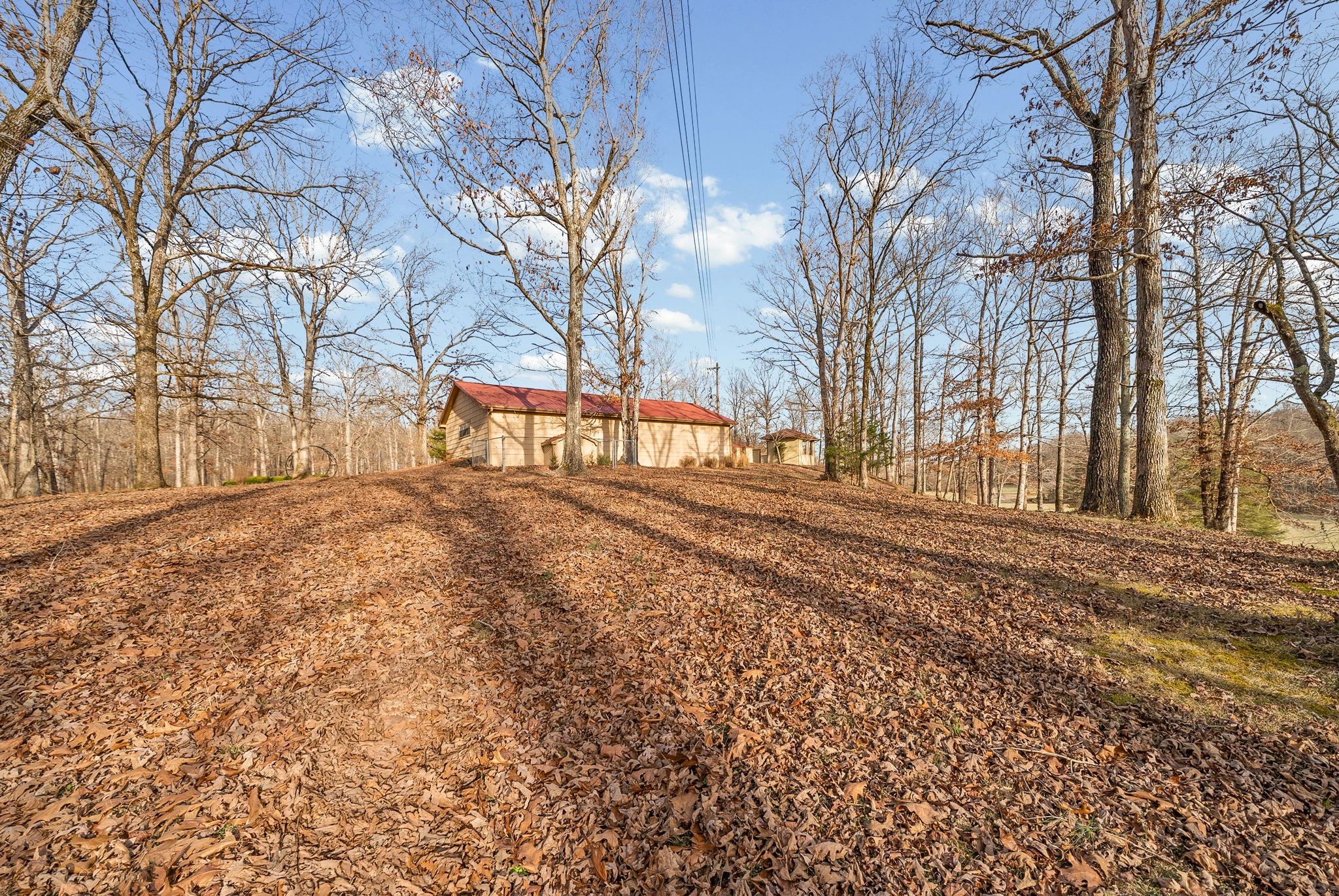 2419 Williams Hollow Road McEwen, TN 37101 - Photo 61 of 85