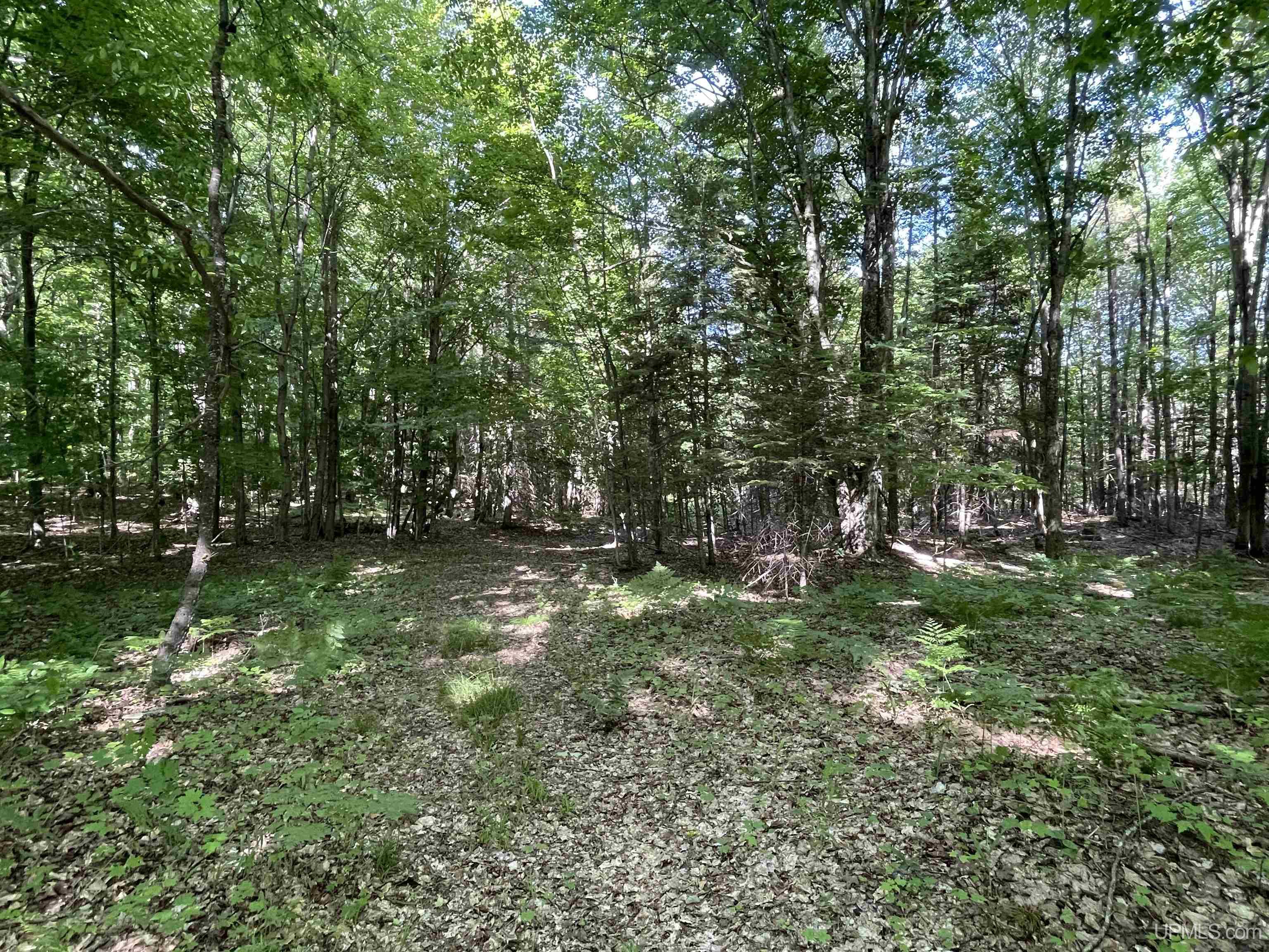 4702 North Banking Ground Road Germfask, MI 49836 - Photo 44 of 60