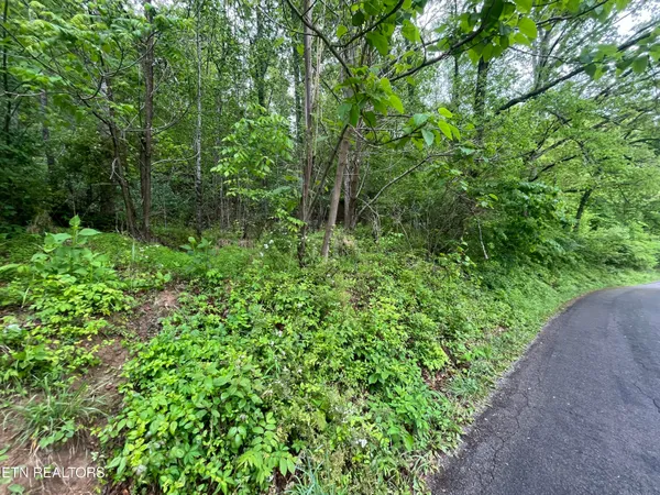 $45,000 | Tbd Valley Creek Road, Dryden, VA 24243