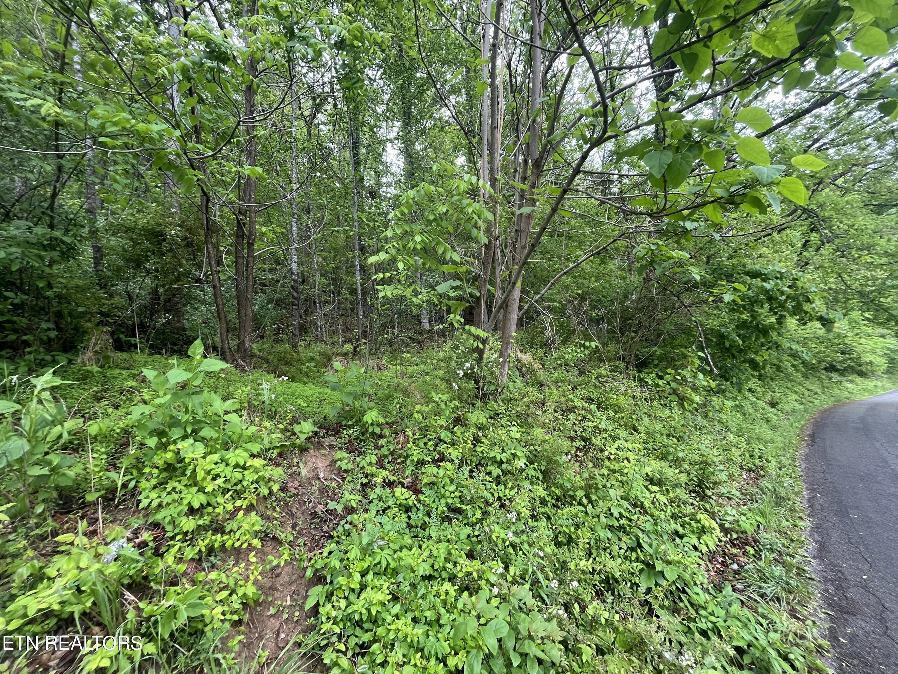 Tbd Valley Creek Road Dryden, VA 24243 - Photo 2 of 23 IMG_7417