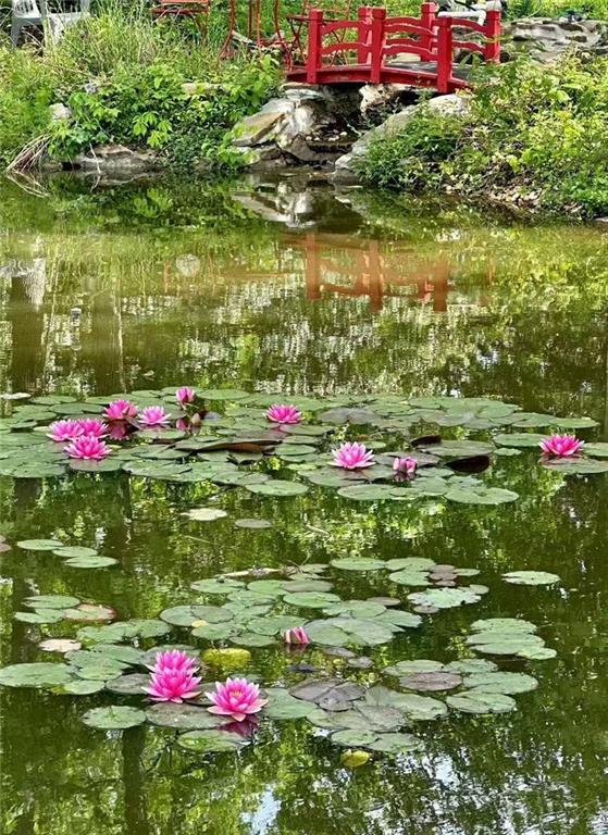 6336 Old Shadburn Ferry Road Buford, GA 30518 - Photo 85 of 100