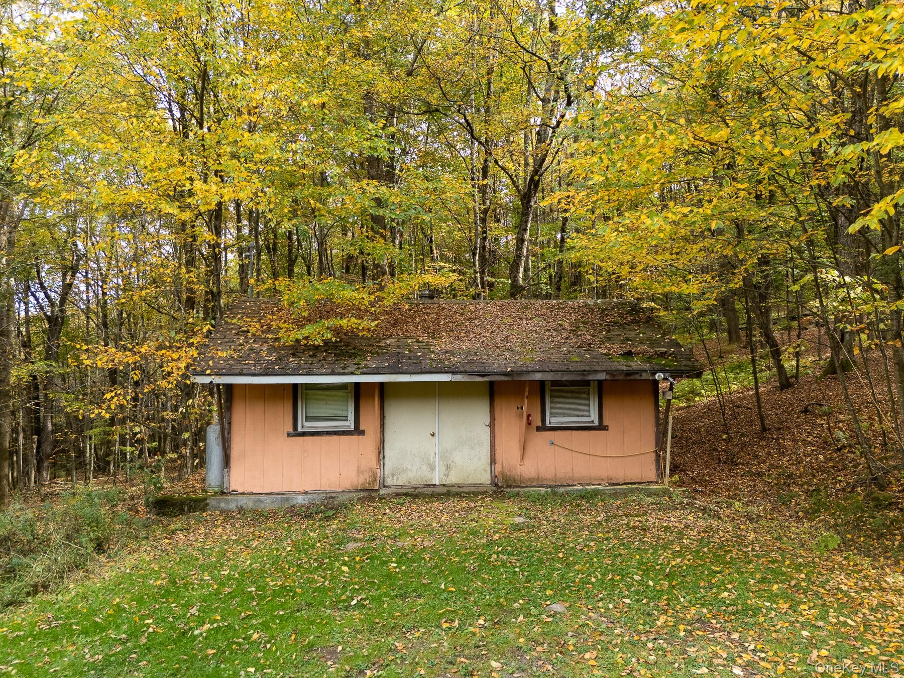 515 Magic Mountain Road Bloomville, NY 13739 - Photo 4 of 18 a front view of a house with garden