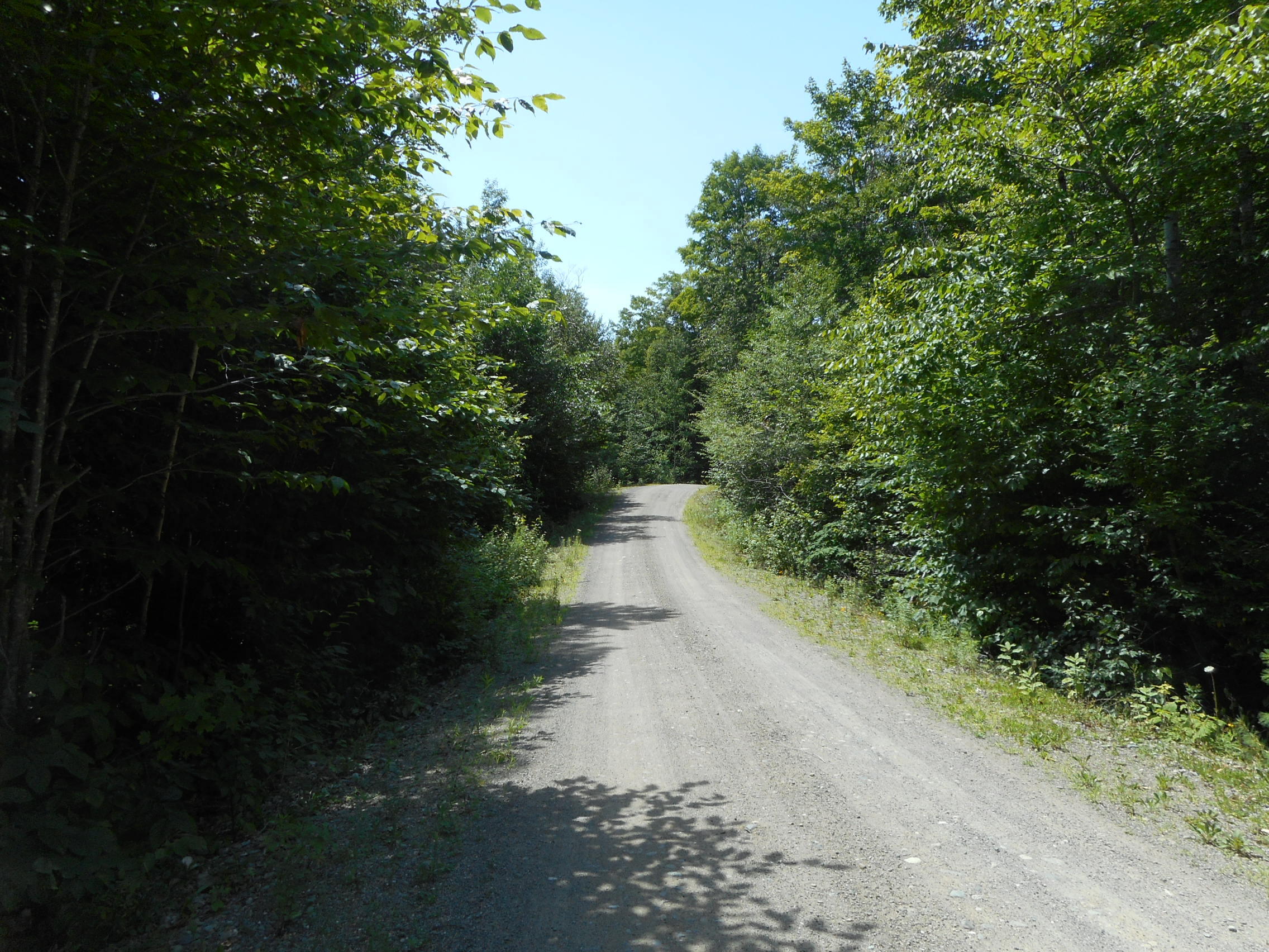 Tbd Skunk Hill Road Lee, ME 04455 - Photo 2 of 8 DSCN3009
