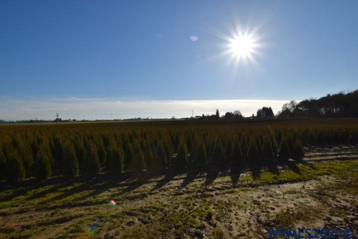 22506 Bents Road Northeast Aurora, OR 97002 - Photo 29 of 33