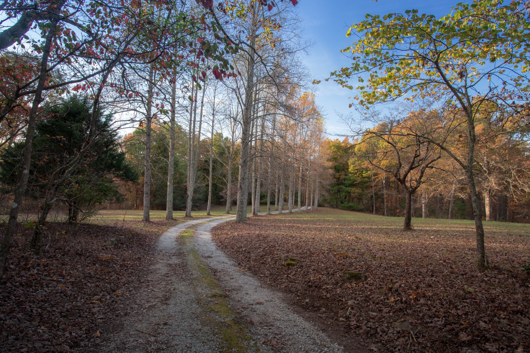 0 Funnel Creek Road Crossville, TN 38571 - Photo 24 of 25 Gallery Image 24