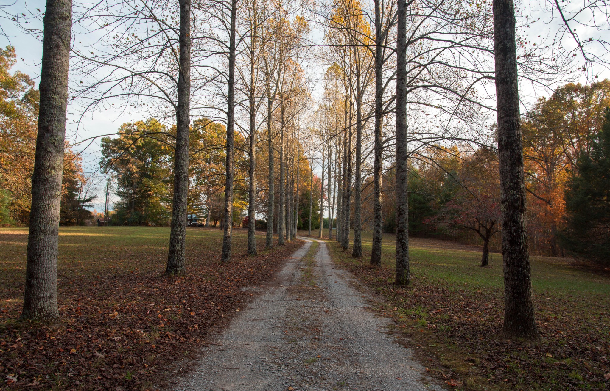 0 Funnel Creek Road Crossville, TN 38571 - Photo 3 of 25 Gallery Image 3