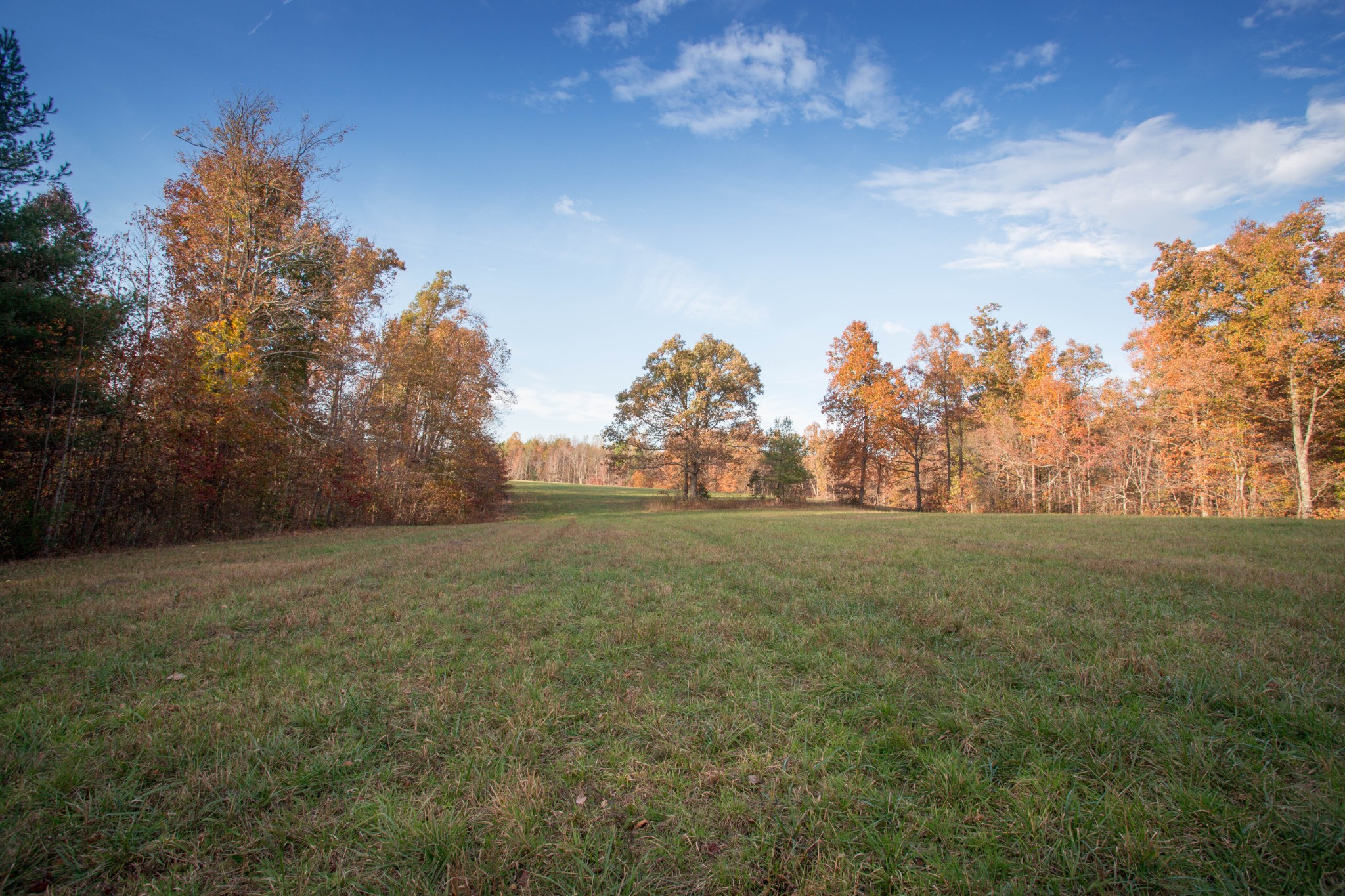 0 Funnel Creek Road Crossville, TN 38571 - Photo 4 of 25 Gallery Image 4