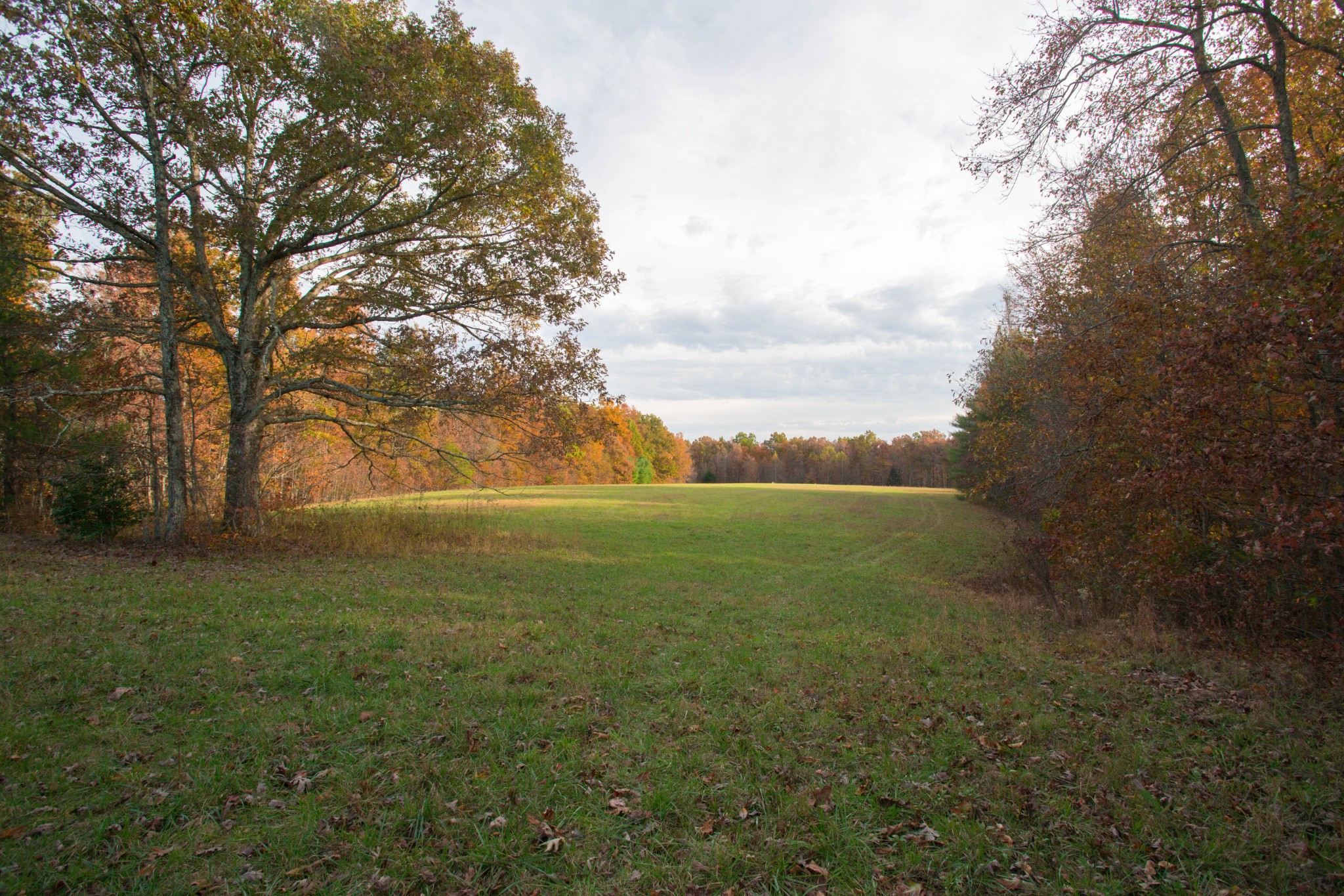 0 Funnel Creek Road Crossville, TN 38571 - Photo 9 of 25 Gallery Image 9