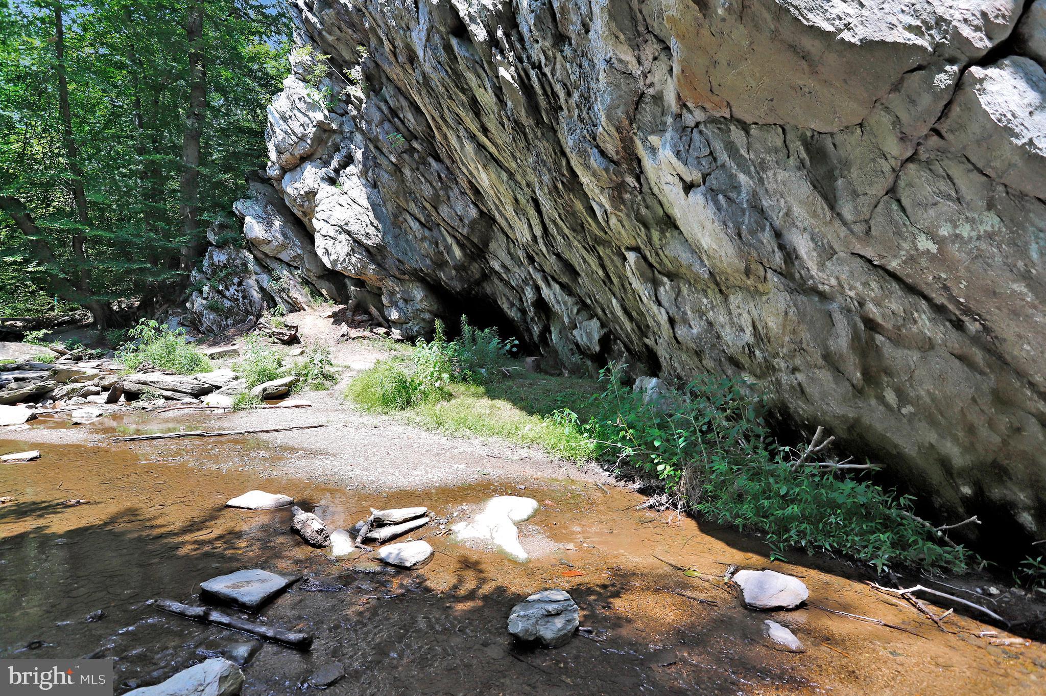 6705 West Lakeridge Road New Market, MD 21774 - Photo 14 of 39 a view of a street with some trees