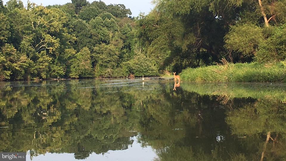 6705 West Lakeridge Road New Market, MD 21774 - Photo 21 of 39 a view of lake