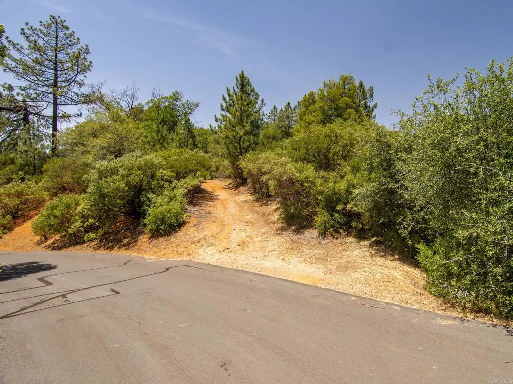 7 West Incense Cedar Road Julian, CA 92036 - Photo 5 of 24