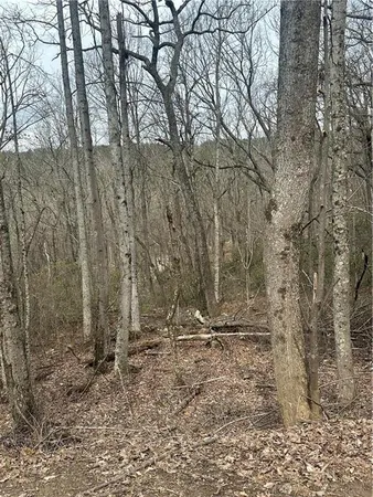 a view of house with trees in the background