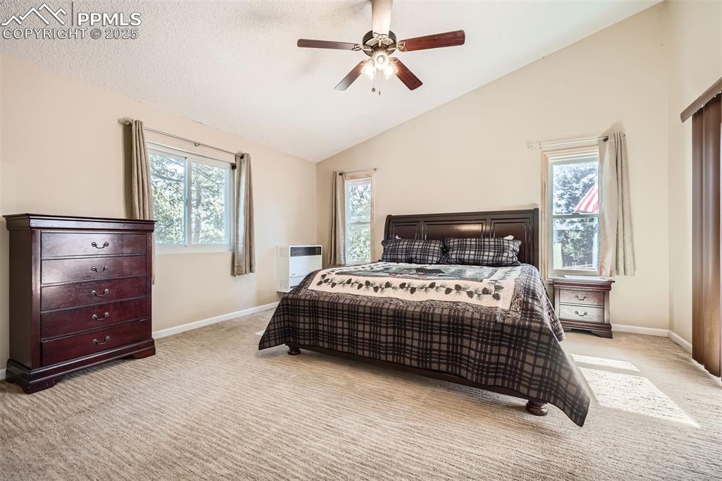 46 Barr Lake Circle Divide, CO 80814 - Photo 16 of 47 a bedroom with a large bed and a window