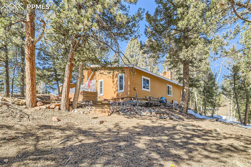 46 Barr Lake Circle Divide, CO 80814 - Photo 2 of 47 a dirt road with trees in front of it