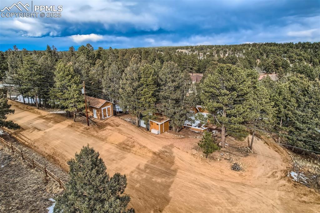 46 Barr Lake Circle Divide, CO 80814 - Photo 31 of 47 a view of a outdoor space with lots of trees