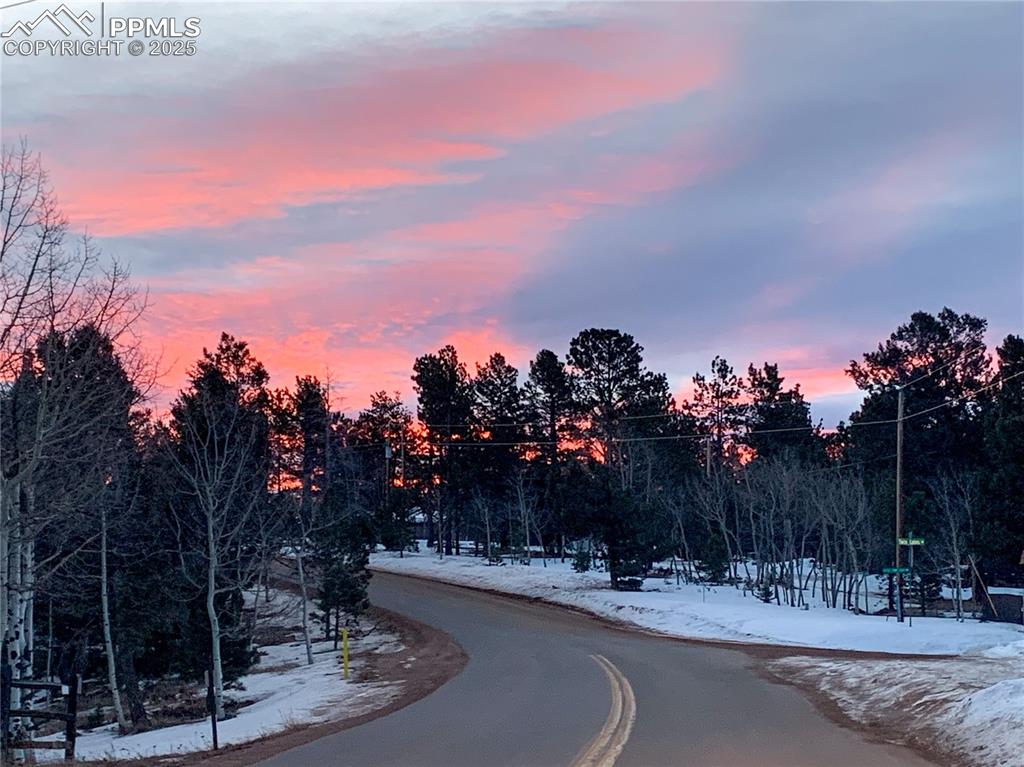46 Barr Lake Circle Divide, CO 80814 - Photo 39 of 47 a view of a park with large tree