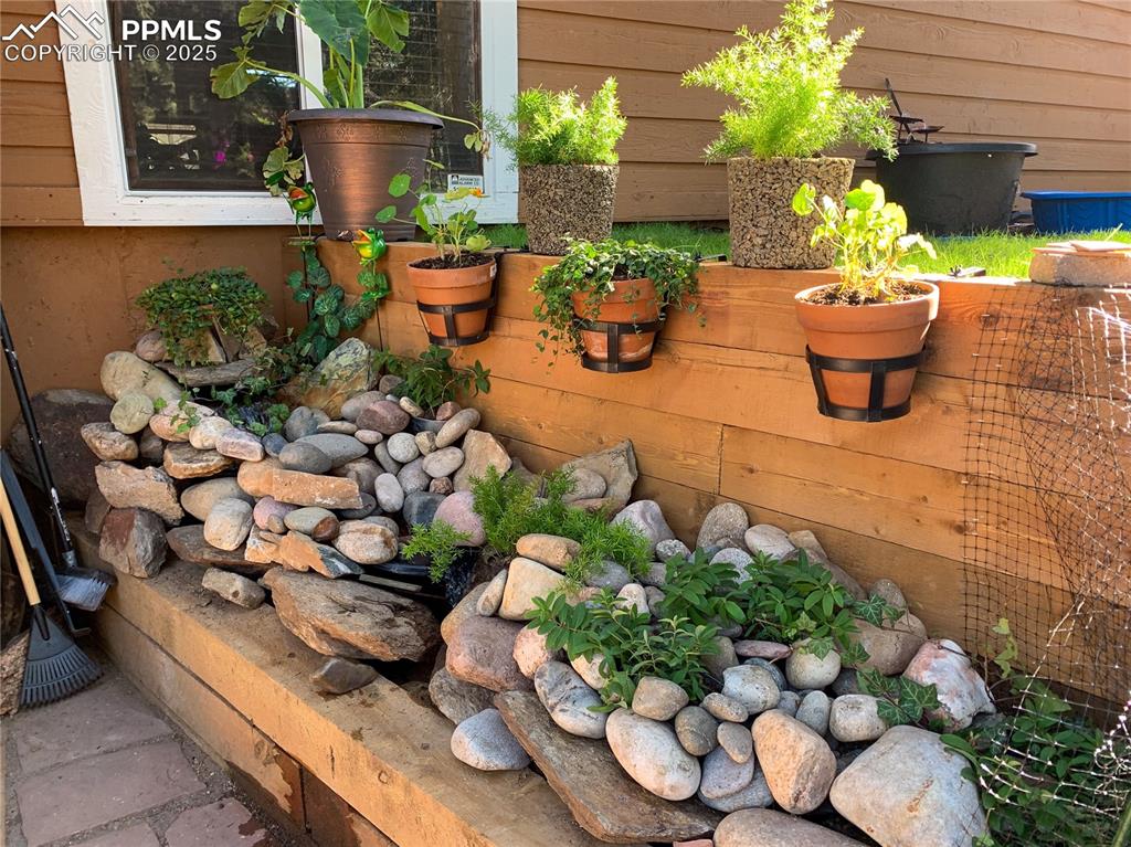 46 Barr Lake Circle Divide, CO 80814 - Photo 40 of 47 a view of a backyard with plants and flowers