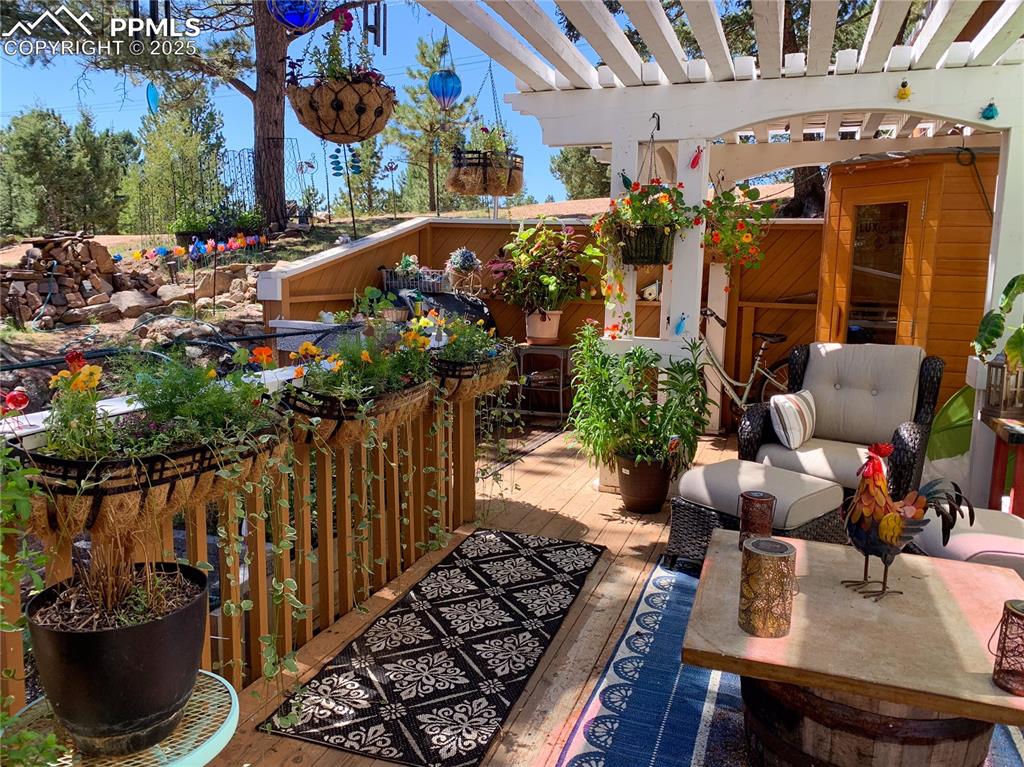 46 Barr Lake Circle Divide, CO 80814 - Photo 41 of 47 a view of a chairs and tables in patio
