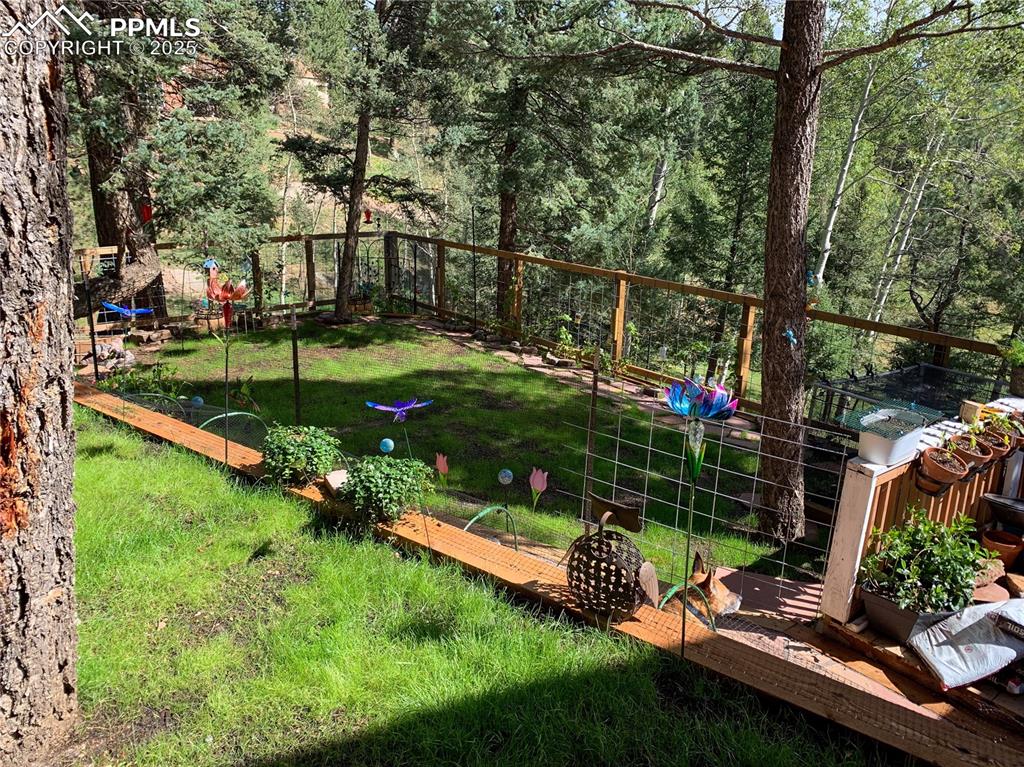 46 Barr Lake Circle Divide, CO 80814 - Photo 43 of 47 a view of a garden with a bench in the garden