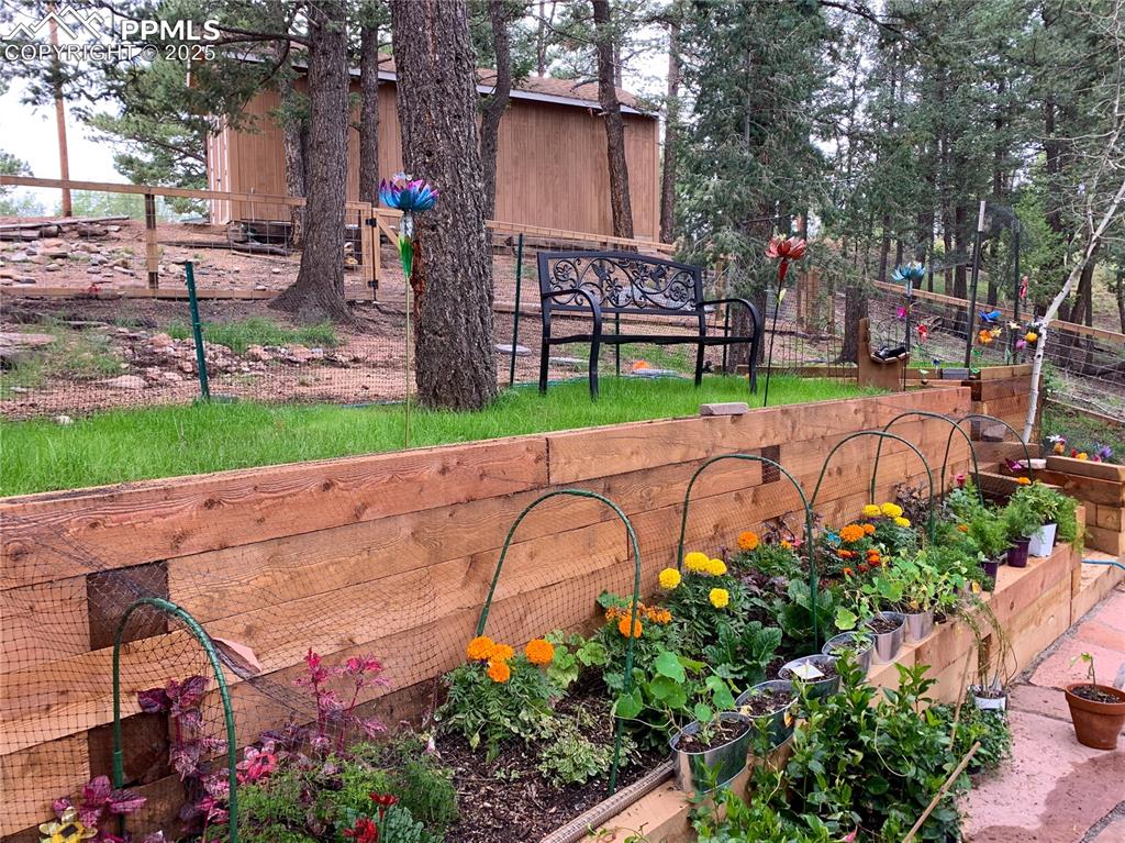 46 Barr Lake Circle Divide, CO 80814 - Photo 44 of 47 front view of a house with a yard
