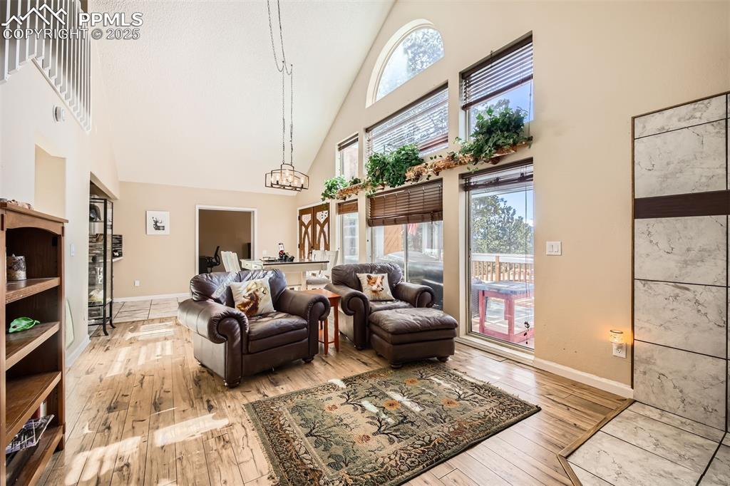 46 Barr Lake Circle Divide, CO 80814 - Photo 8 of 47 a living room with furniture
