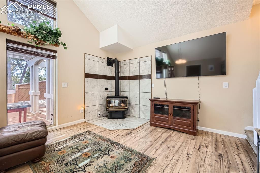 46 Barr Lake Circle Divide, CO 80814 - Photo 9 of 47 a living room with furniture and a flat screen tv