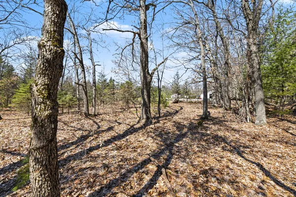 $495,000 | 14481 North Coates Highway, Brethren, MI 49619