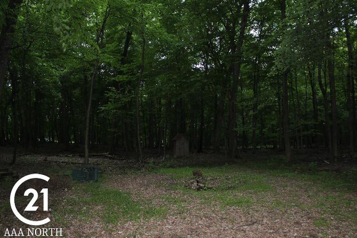 3032 South Blacks Corners Road Dryden, MI 48428 - Photo 39 of 40 Gallery Image 39