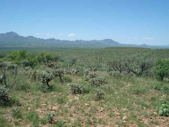 1835 Camino Amatista Rio Rico, AZ 85648 - Photo 3 of 5