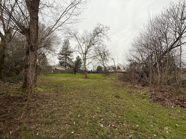 381 Gregory Drive Winston, OR 97496 - Photo 4 of 20 a view of a field with trees