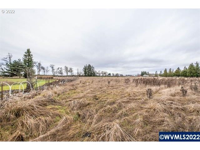 Red Bridge Road, Unit 213 Albany, OR 97322 - Photo 8 of 29 Gallery Image 8
