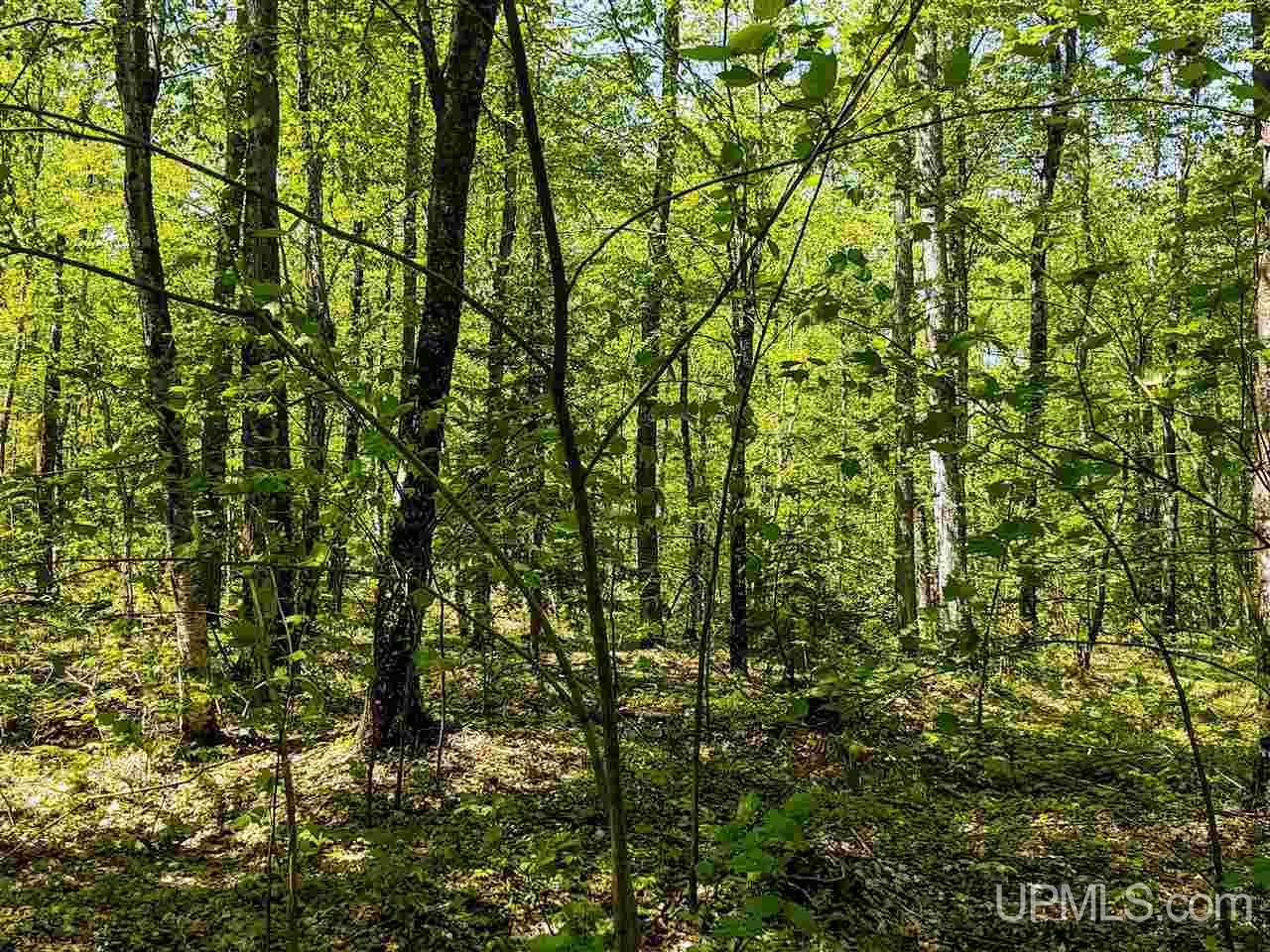 Tbd-parcel Point Abbaye Road Lanse, MI 49946 - Photo 8 of 25