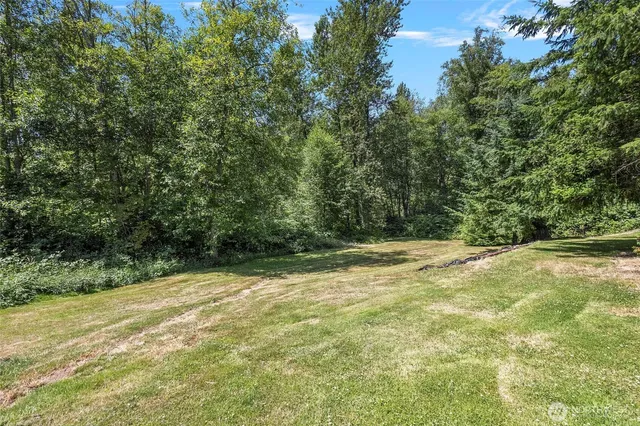 a view of a yard with a trees