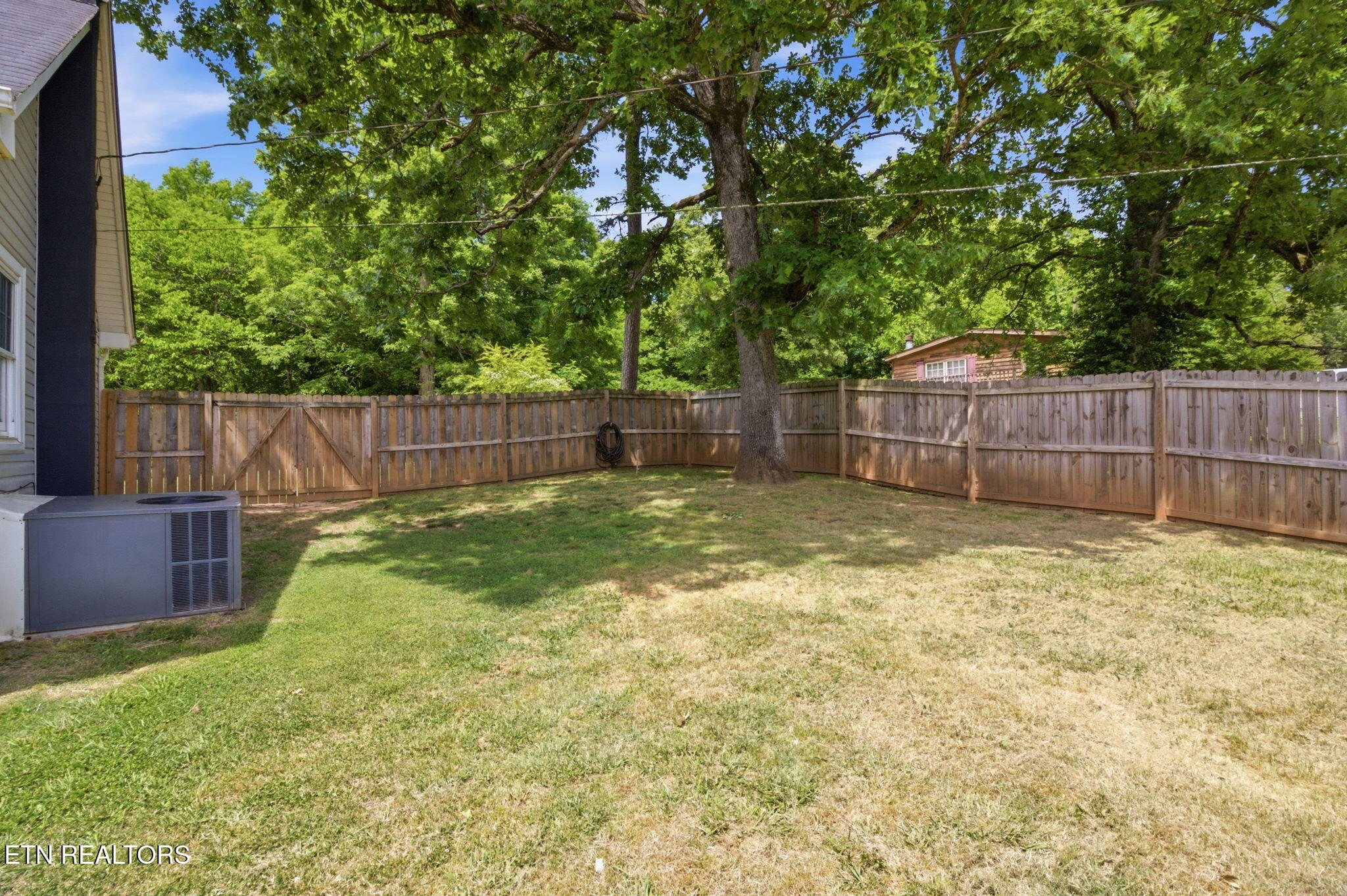 2540 Mentor Road Louisville, TN 37777 - Photo 20 of 30 Side Yard