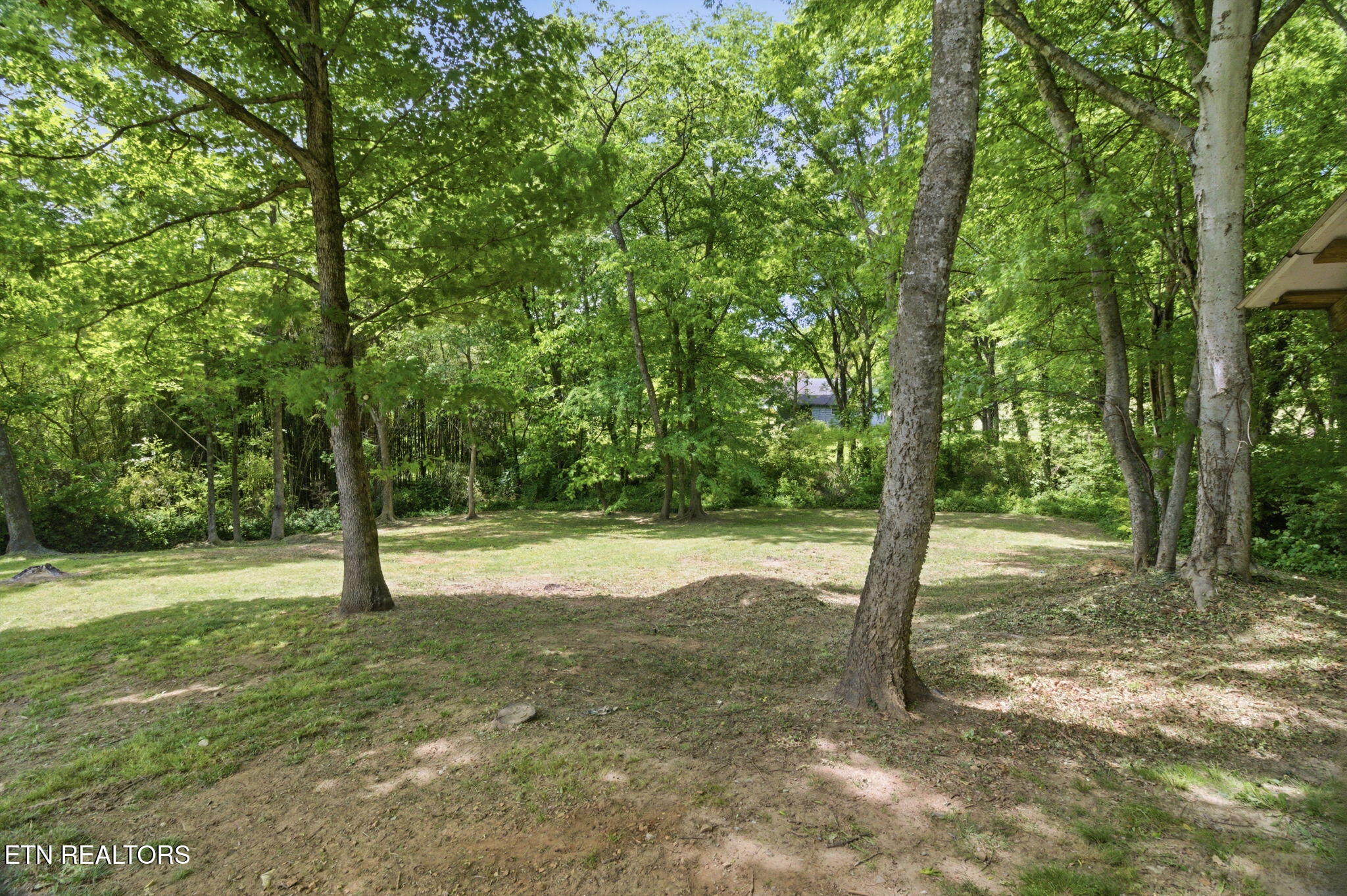 2540 Mentor Road Louisville, TN 37777 - Photo 26 of 30 Private and Tranquil