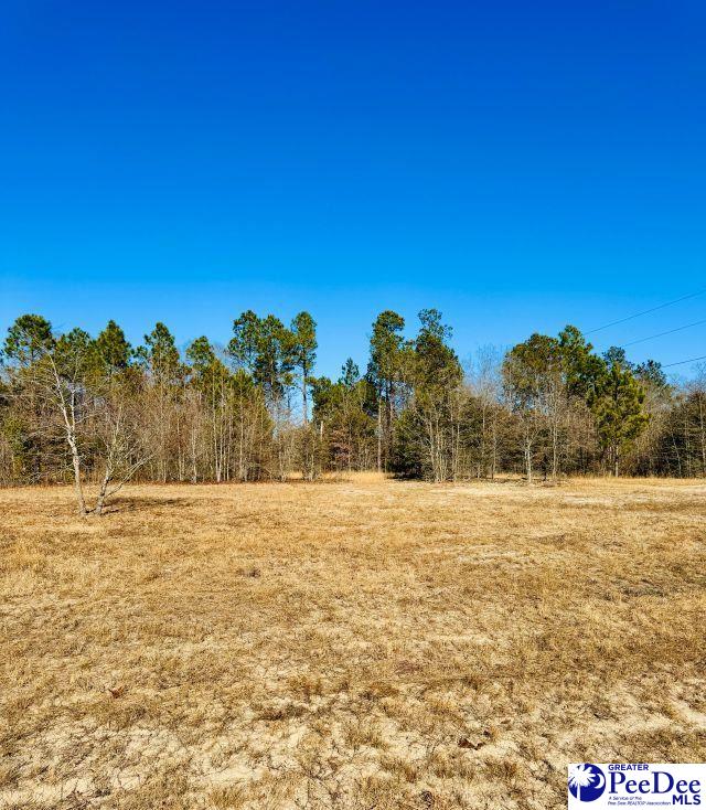 Aaron Temple Church Road Bennettsville, SC 29512 - Photo 4 of 5 Gallery Image 4