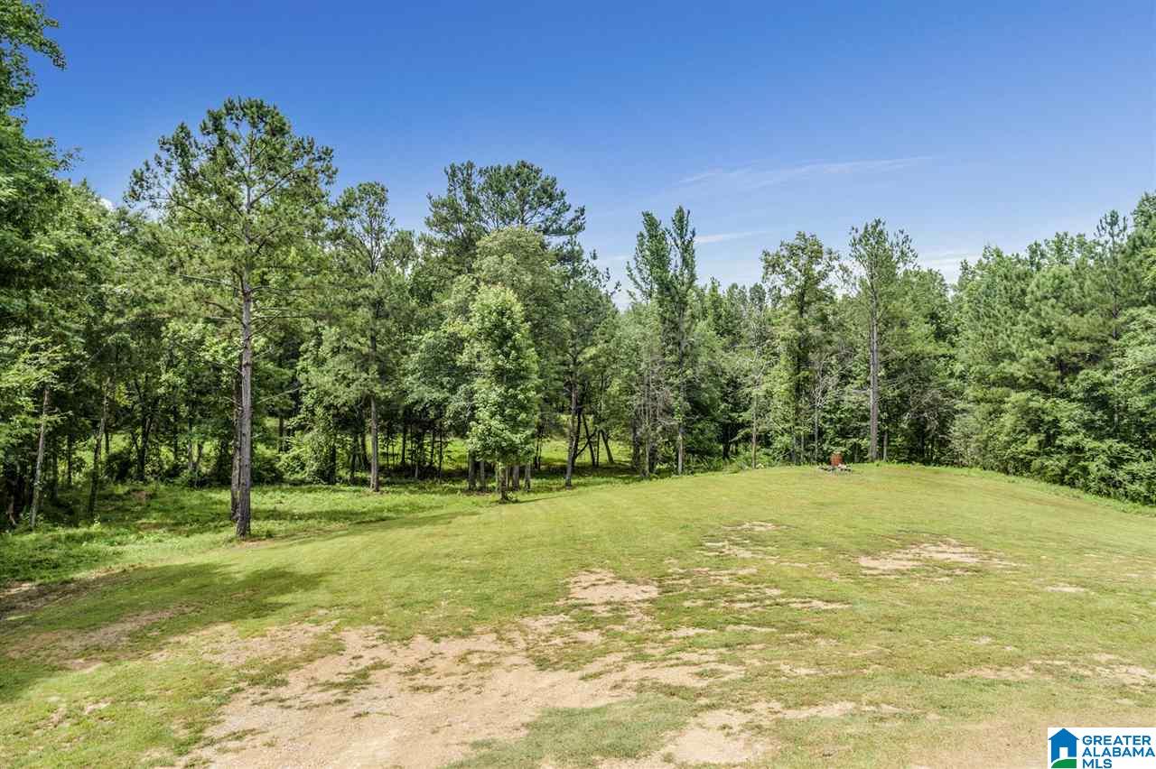 3851 Humber Road Dora, AL 35062 - Photo 30 of 35
