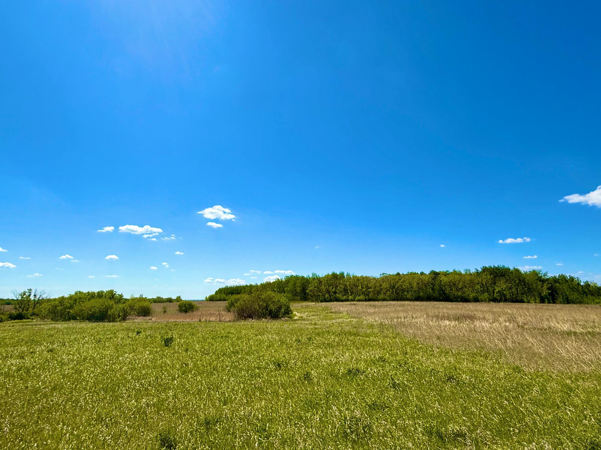 Tbd Tbd 240th Avenue Callaway, MN 56521 - Photo 12 of 29