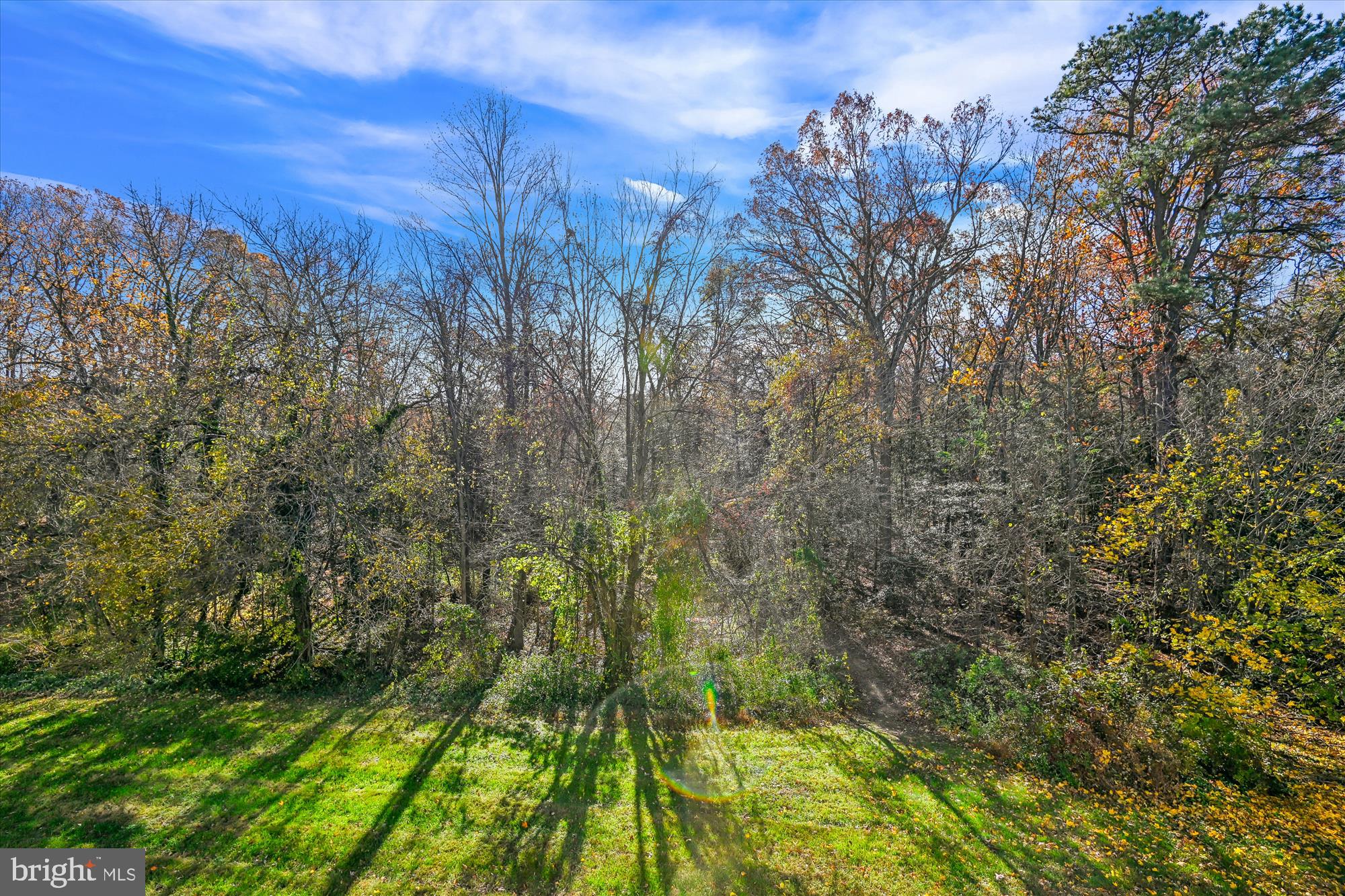 717 Deering Road, Unit 5L Pasadena, MD 21122 - Photo 28 of 29 a view of a yard with a tree