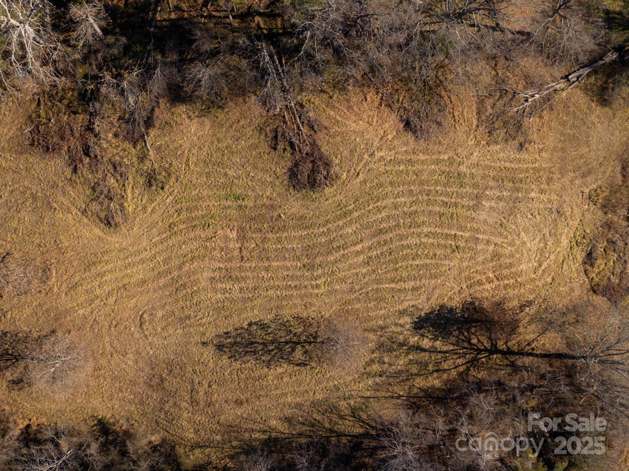 0 Bluff Cove Road Weaverville, NC 28787 - Photo 14 of 40