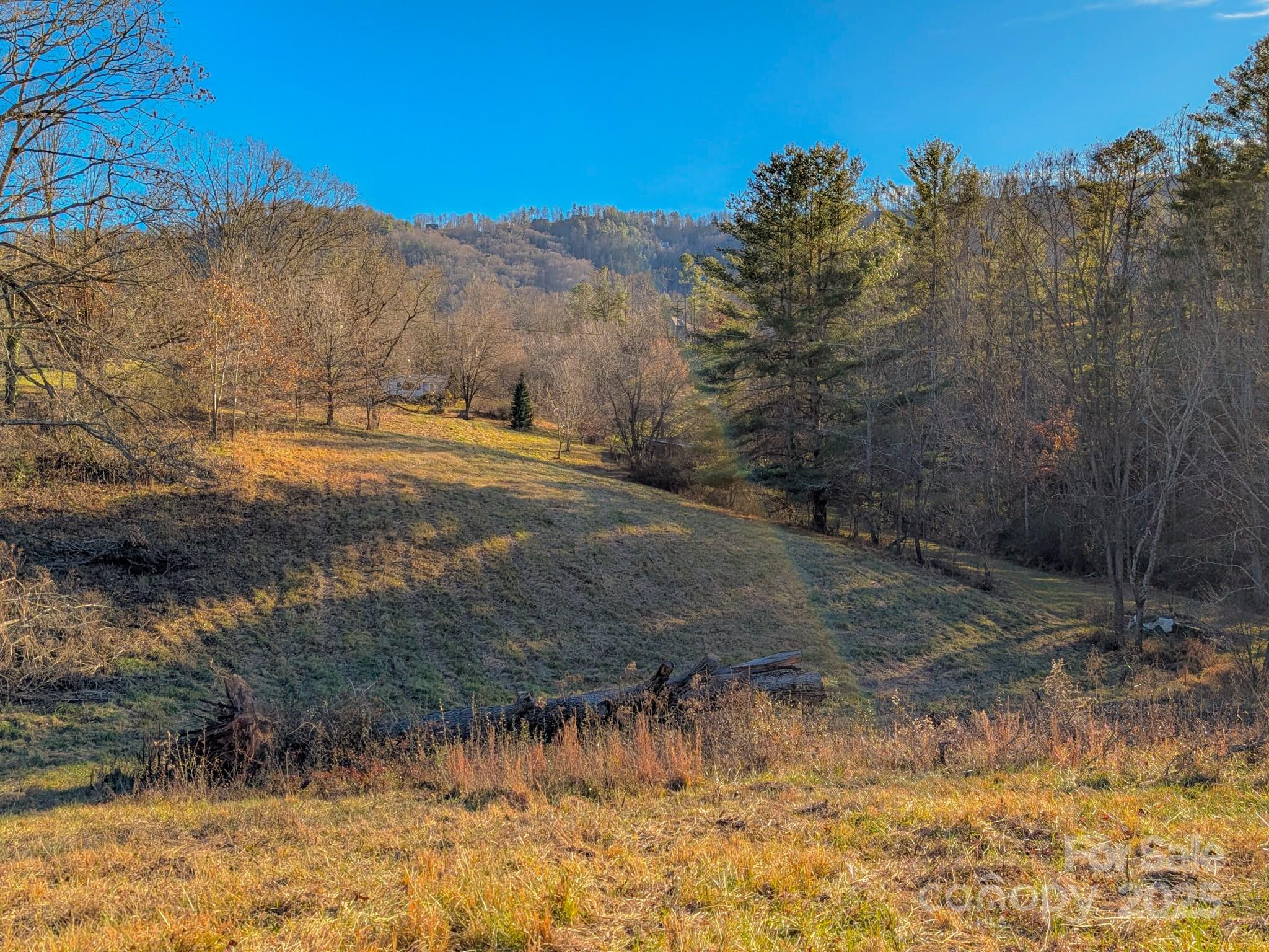 0 Bluff Cove Road Weaverville, NC 28787 - Photo 16 of 40