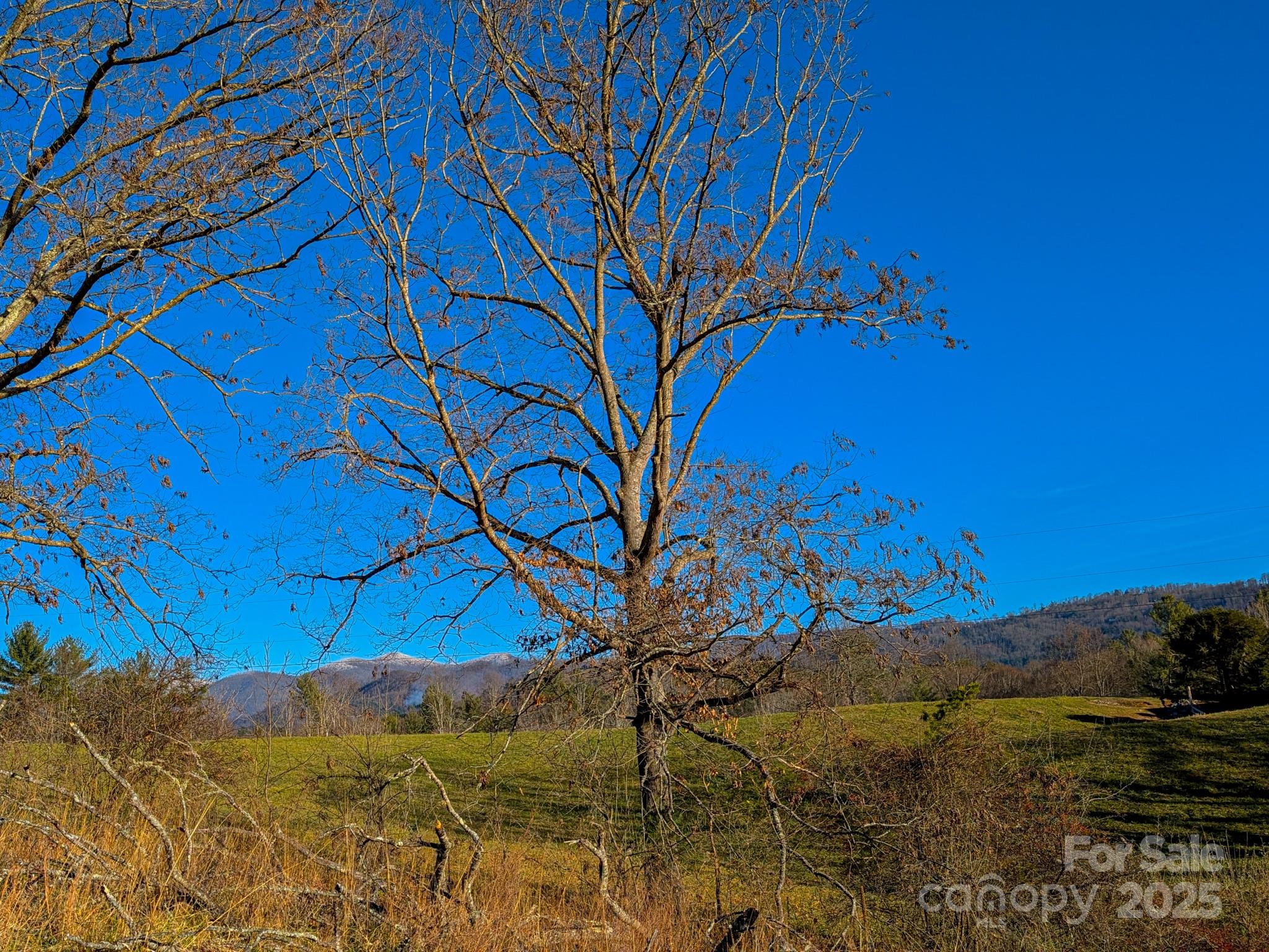 0 Bluff Cove Road Weaverville, NC 28787 - Photo 17 of 40